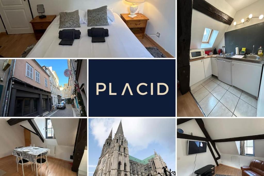 Appartement 1 chambre L'Envolée