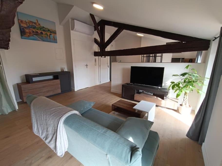 Appartement centre Albi