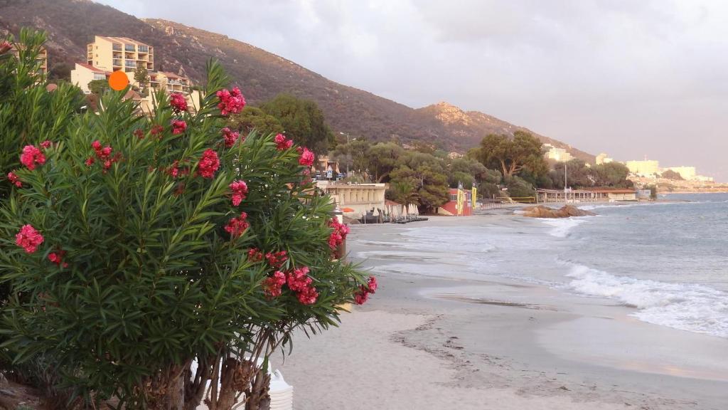 Appartement « Marinella » splendide vue mer aux Sanguinaires