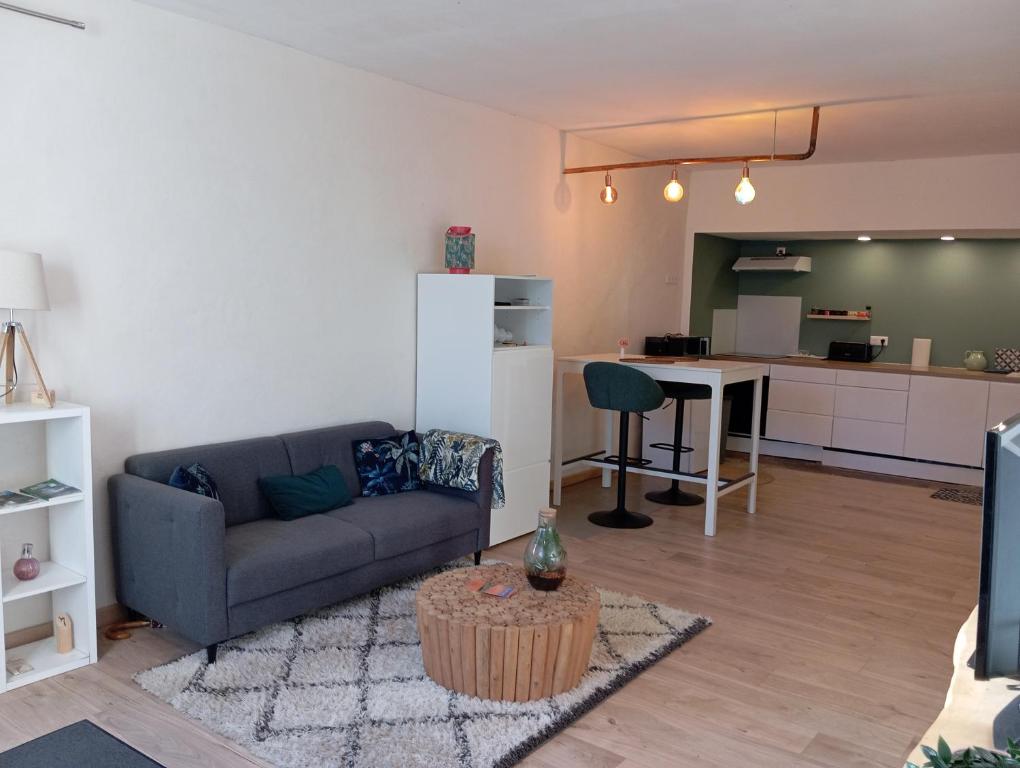 appartement hôtes entier Millau Compeyre