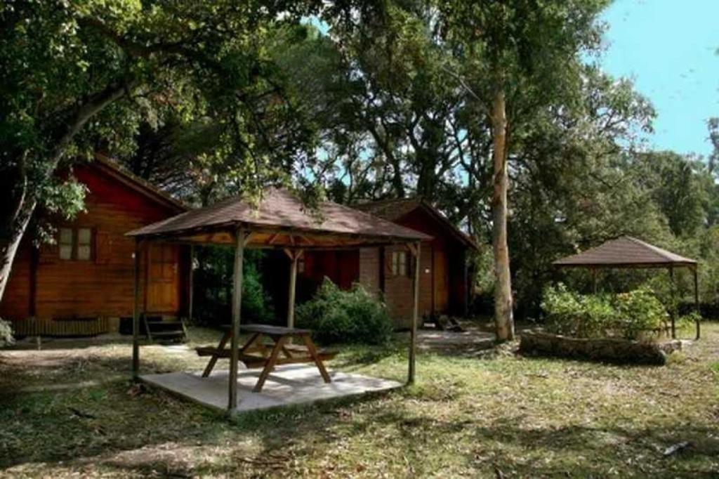 Chalet - Piscine - ef0aa0