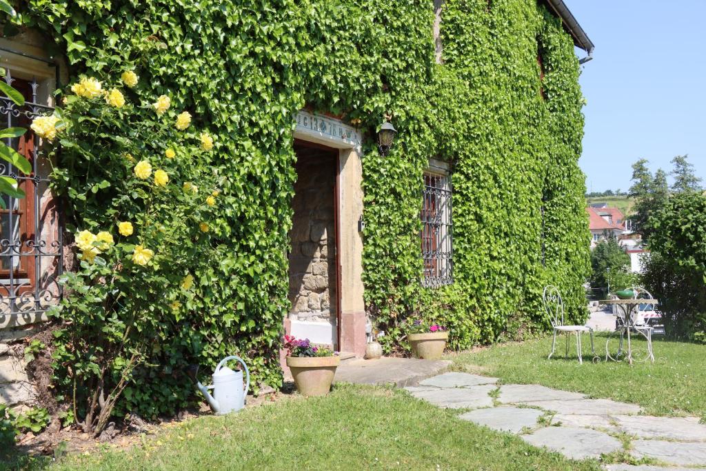 Maison de Charme "Le Moulin d'Hagenthal" - Chambre Romantique
