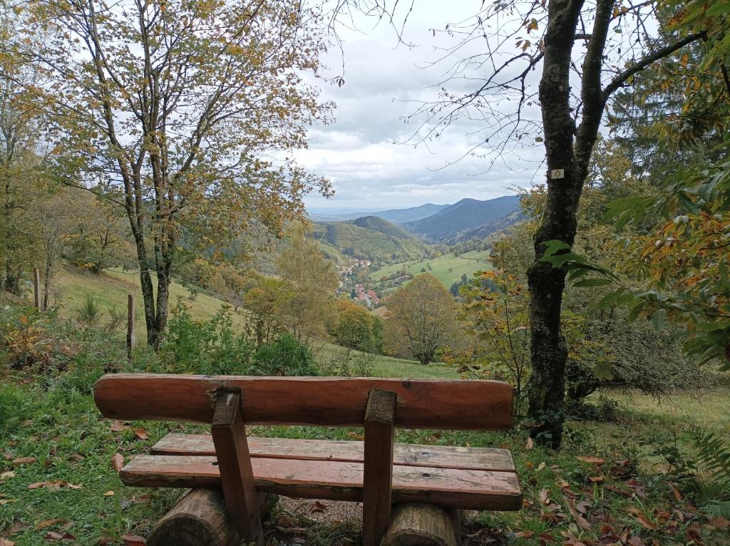 Chemin de résilience