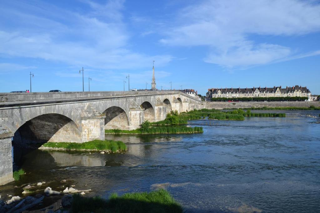 Entre Loire et Chateau - Vue sur la Loire