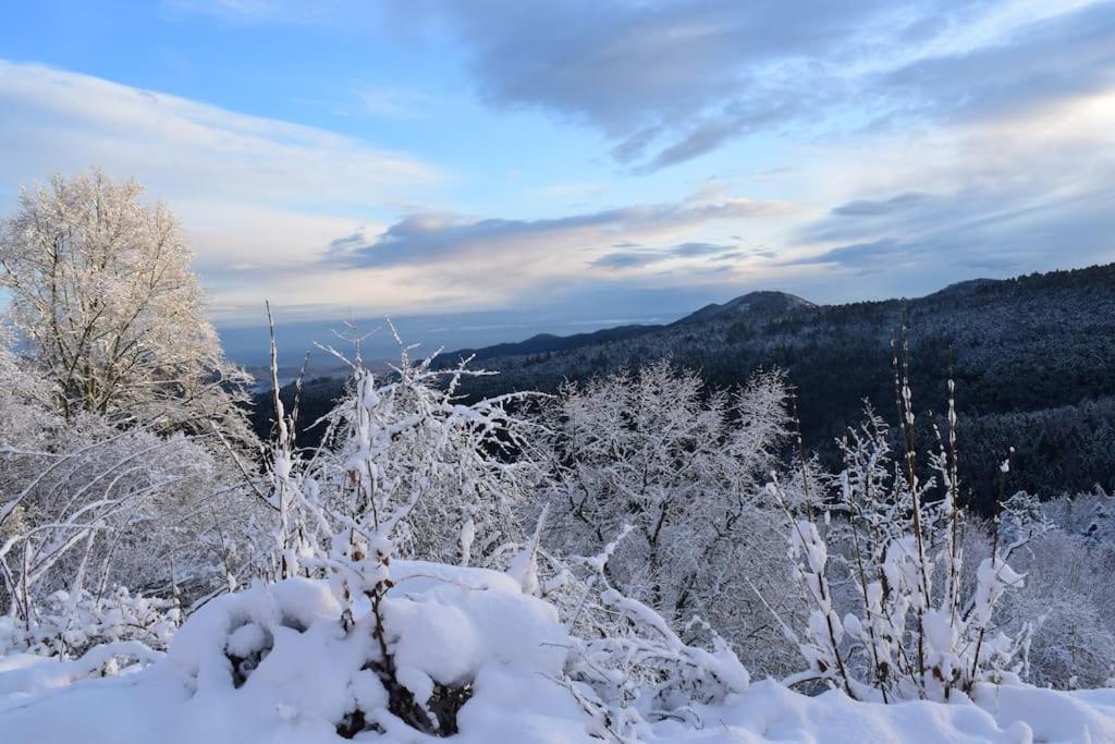 L'Estive, gîte à la ferme en montagne