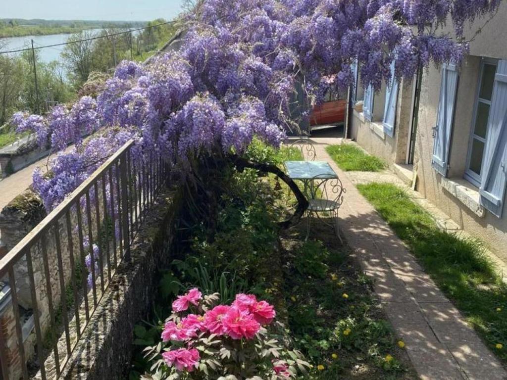 Maison de charme 18ème avec jardin et cheminée à Blois - FR-1-491-445