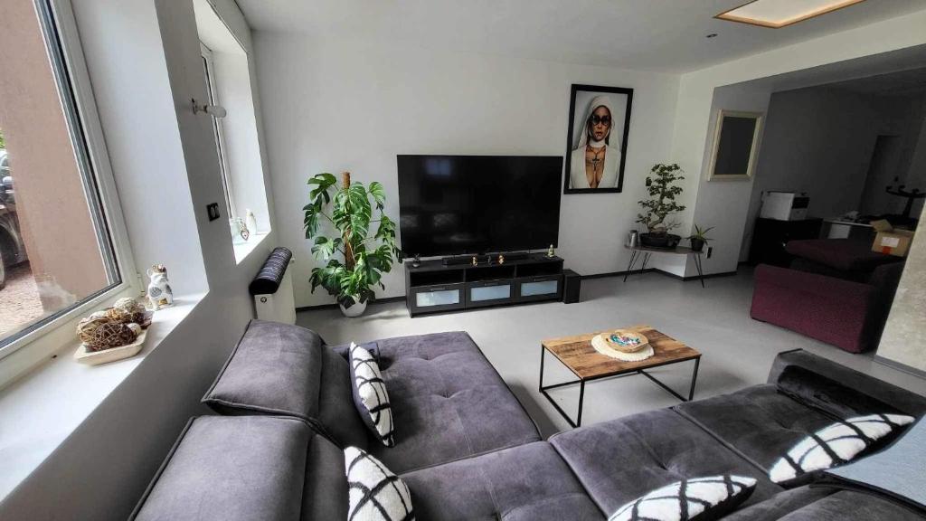 Grand appartement rez de jardin