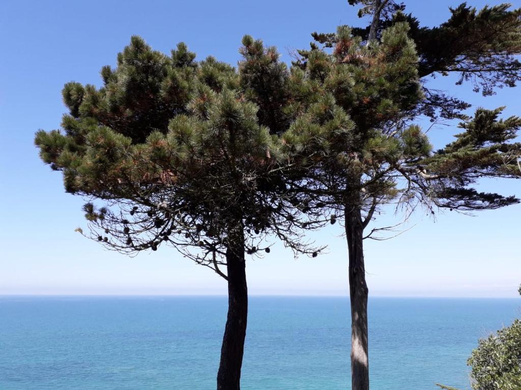 Granville Plage Plat Gousset