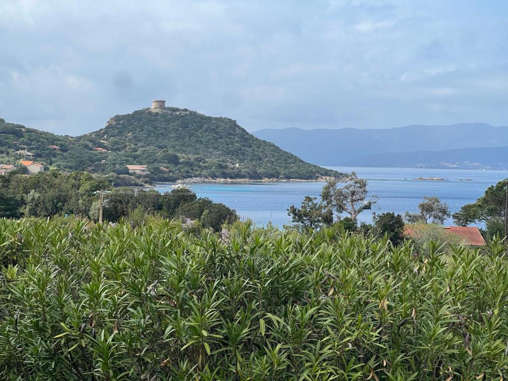 La vallée 2