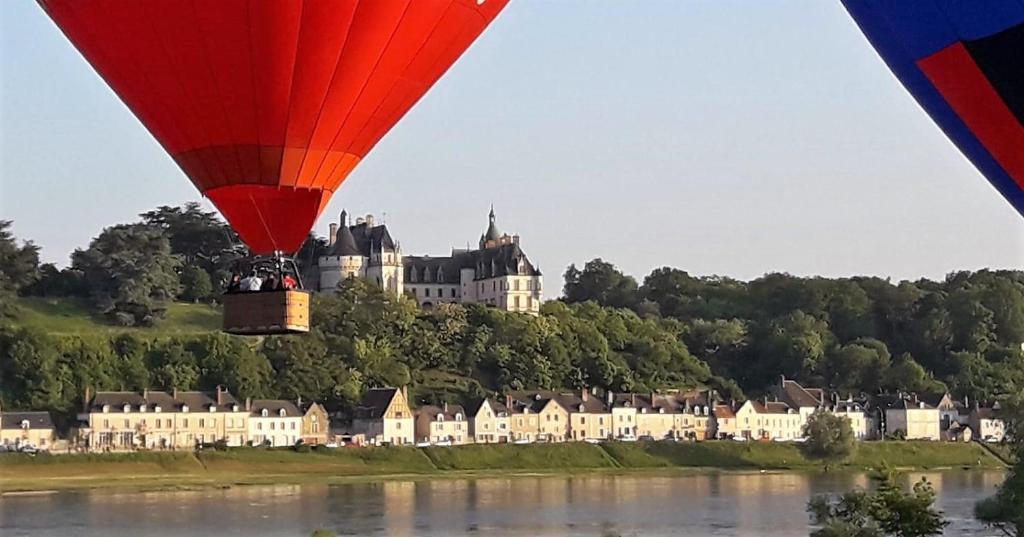 Le Motu Loire
