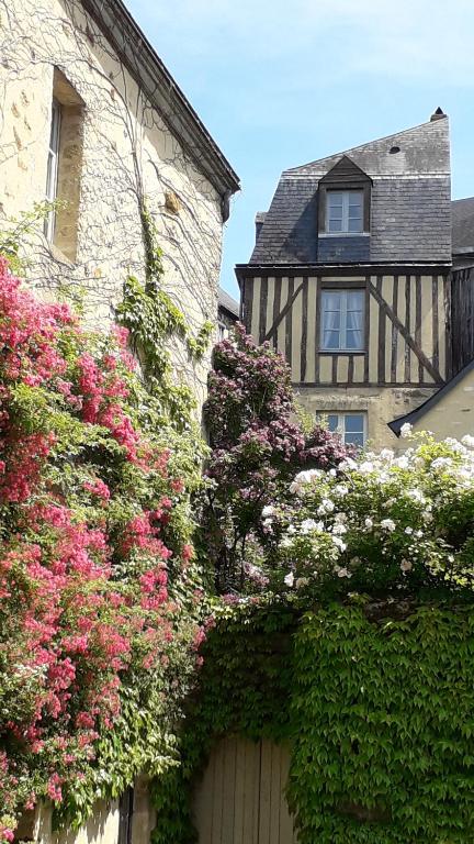 Petite Maison Romantique au calme, Cœur Historique Plantagenet, vue ville