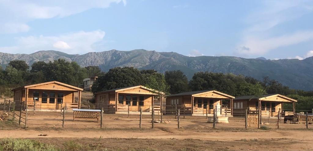 Les chalets du Haras de Tesa, proche Ile-Rousse