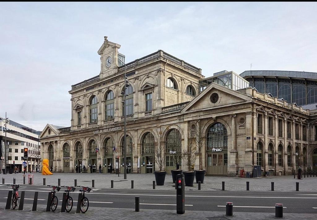 Lille Centre - Nice, cozy and functional ap.