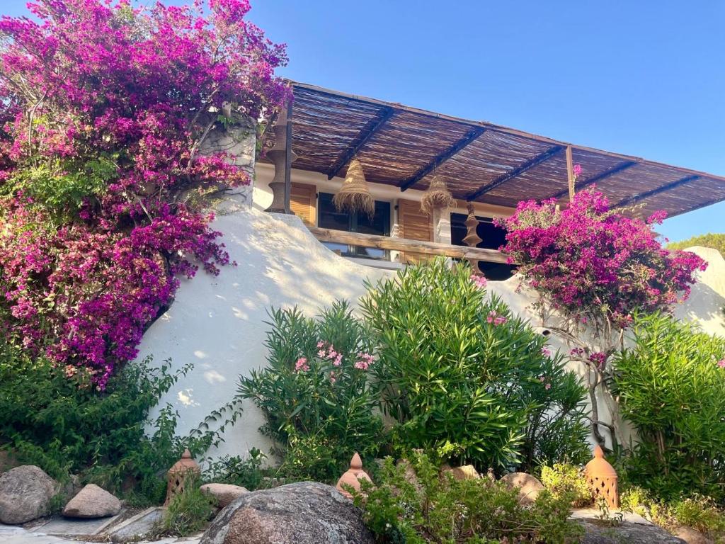 Villa LILY BAY baie de Santa Giulia