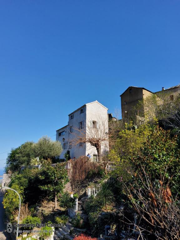maison casa nova