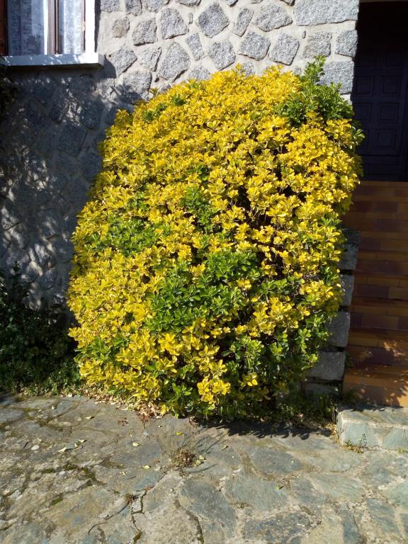 1 Maison en pierre