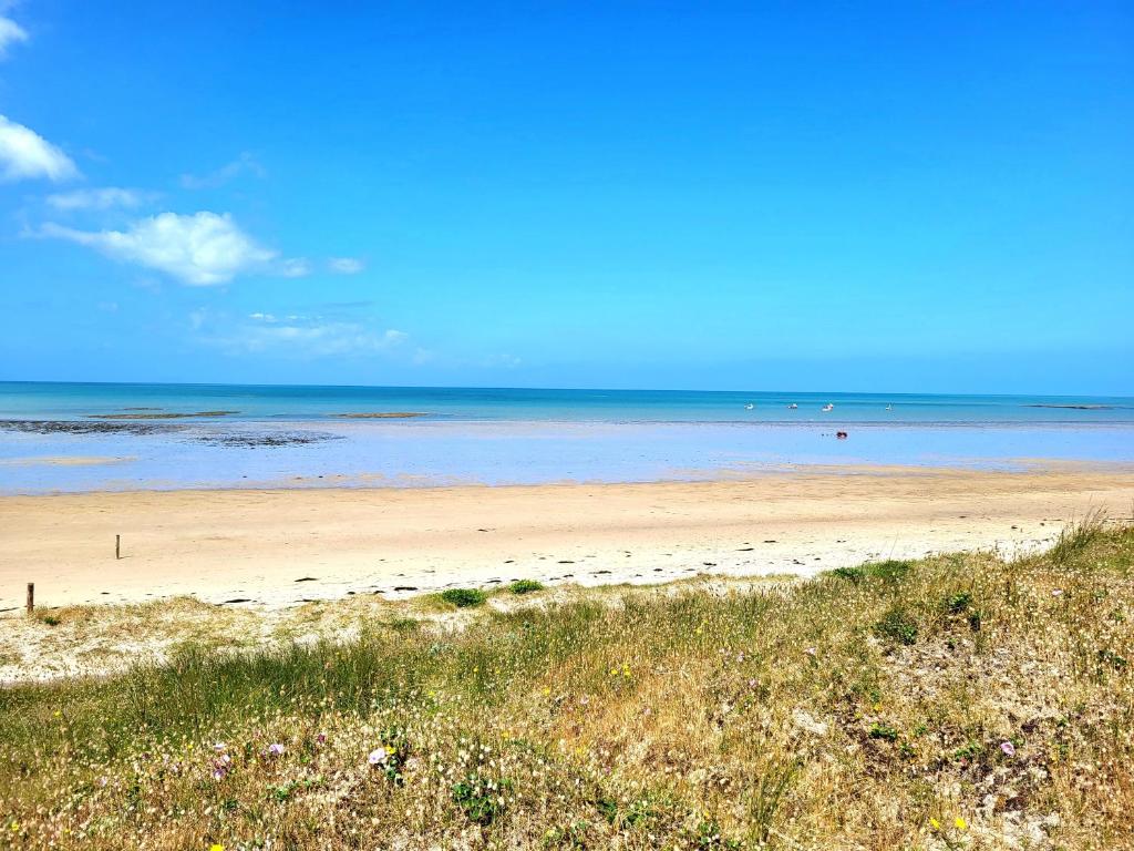 Maison front de mer, Nid de coucou