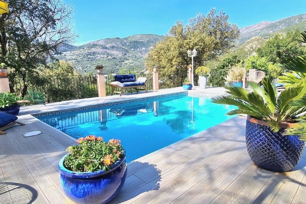 Maison Partina avec Piscine