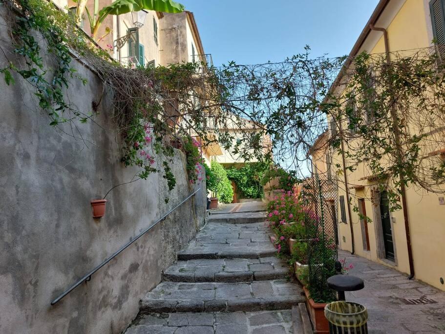 NIDO DI ELEONORA