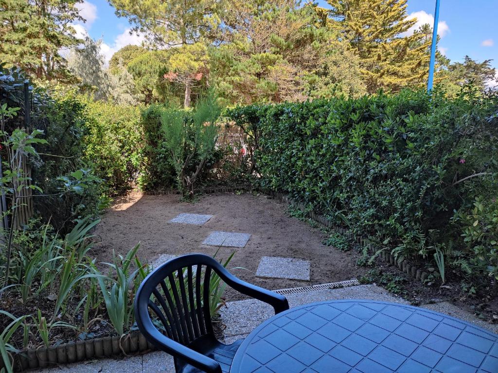 Studio avec Terrasse, Proche Plage, Parking Privé, Vélo, Activités Nautiques - FR-1-652-21