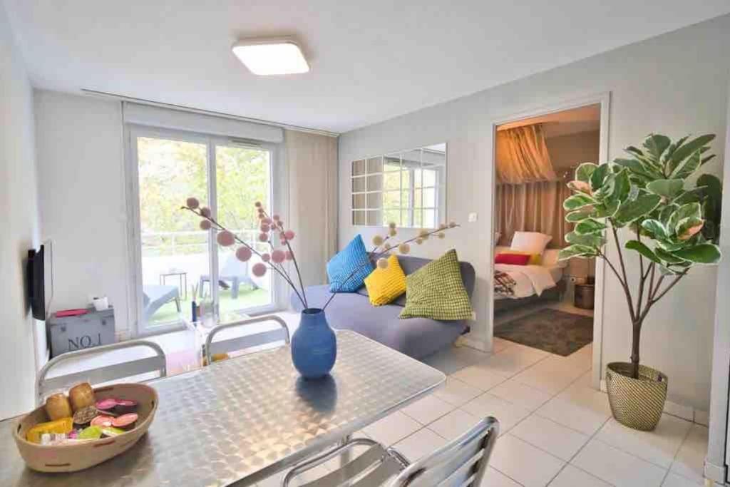 *T2*Vue Garonne*Piscine*Garage*