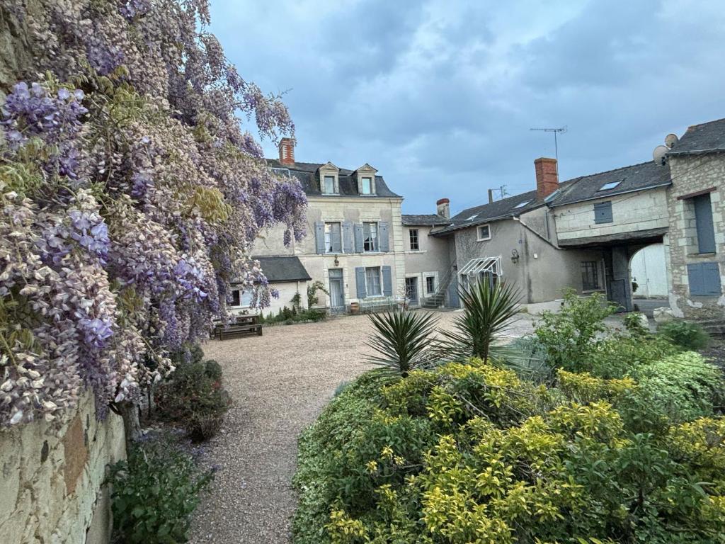 The Old Winery, Loire