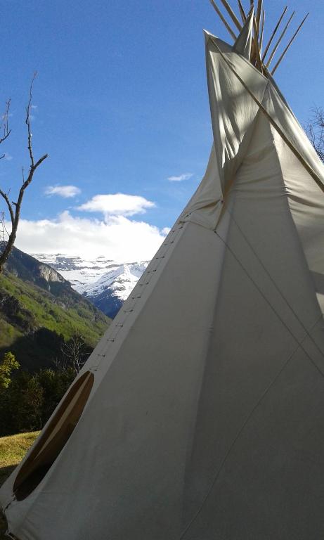 Tipis nature