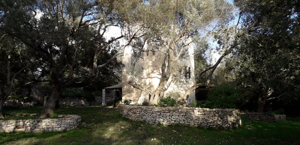 tour casella