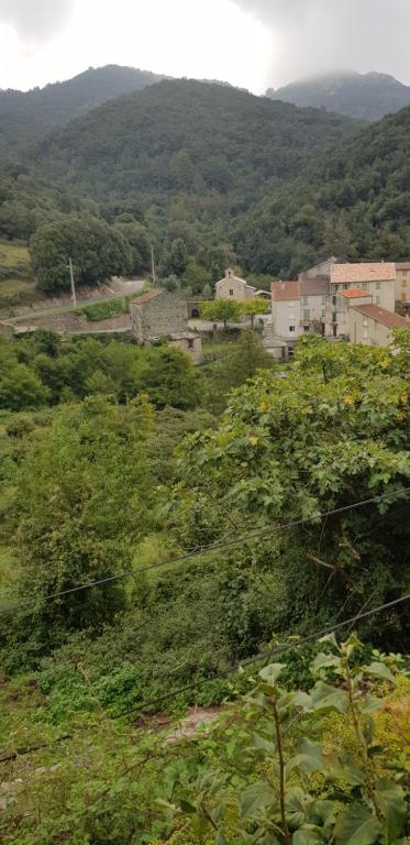 ,A cantinella, une cave a fromage au centre corse
