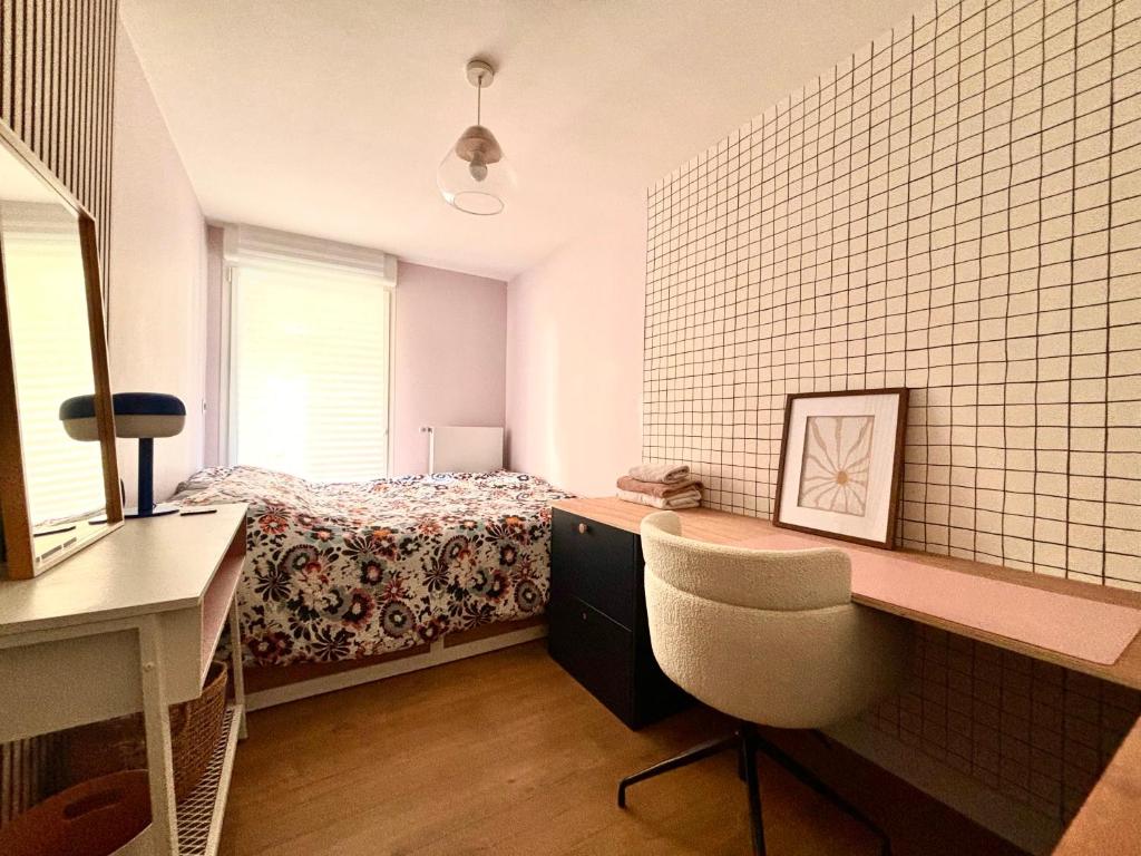 Vieux Lille - Large modern and functional studio