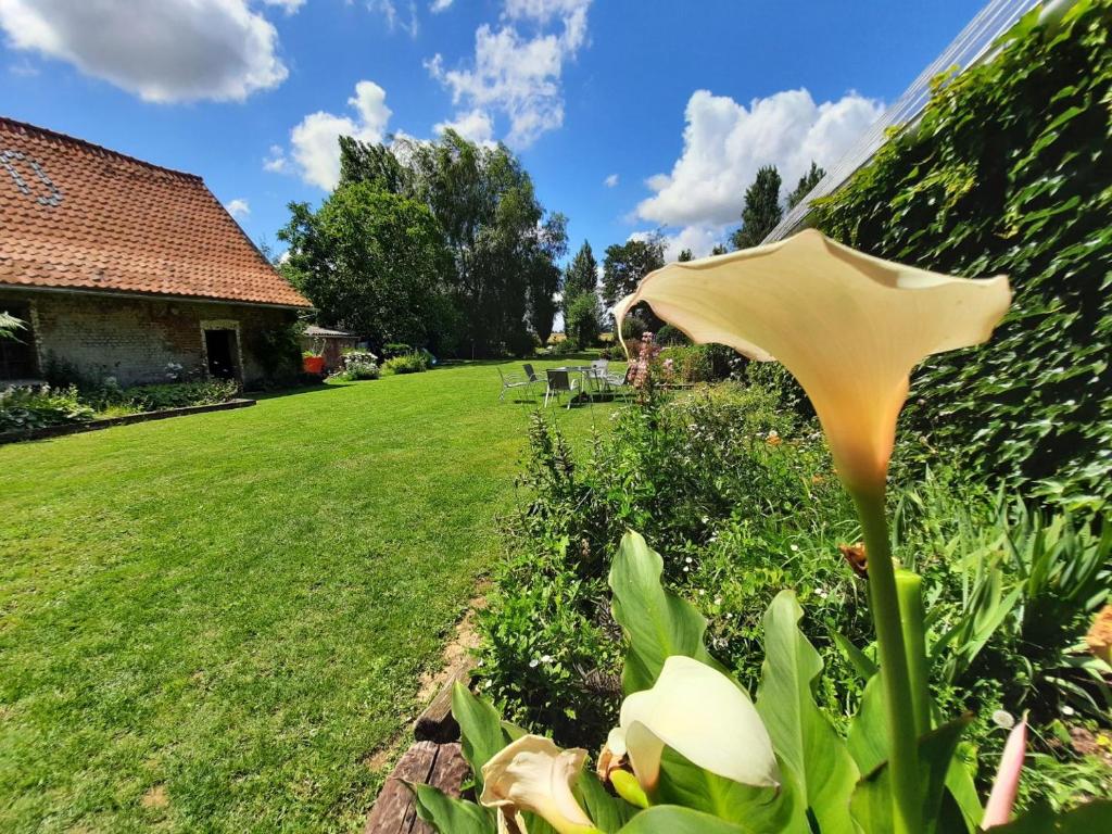 Maison d hôtes Salvatrice